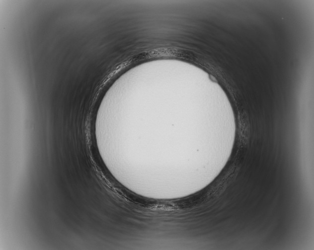 X0000103330386200810061019