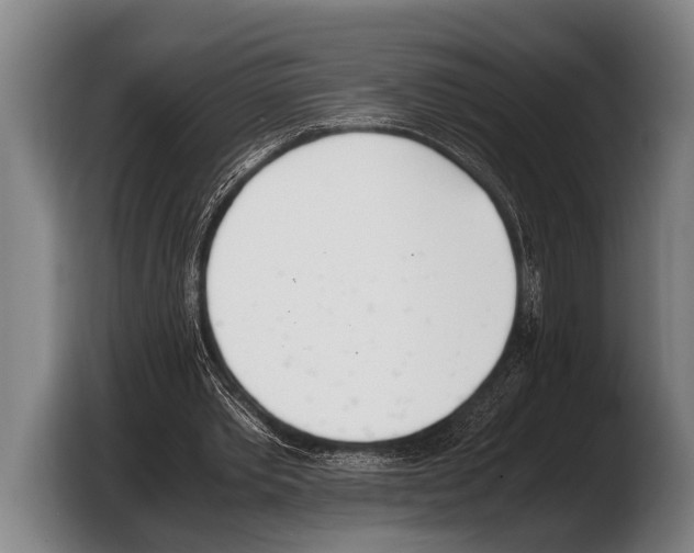 X0000103330389200810061019