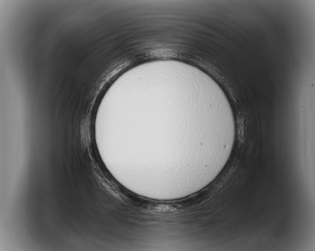 X0000103330390200810061019