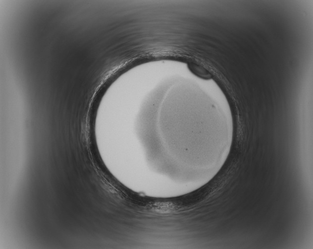 X0000103330391200810061019