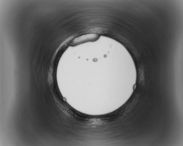 X0000103330392200810061019