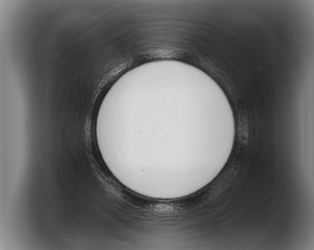 X0000103330394200810061019