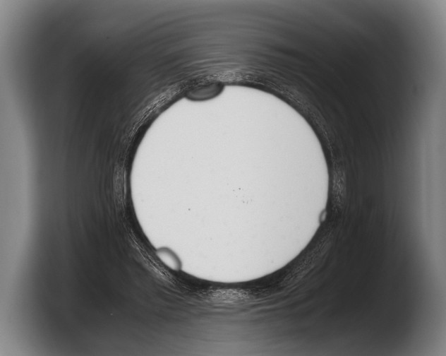 X0000103330397200810061019