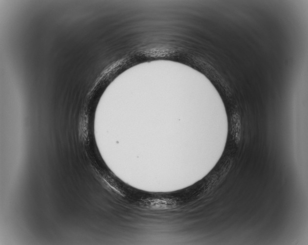 X0000103330400200810061019