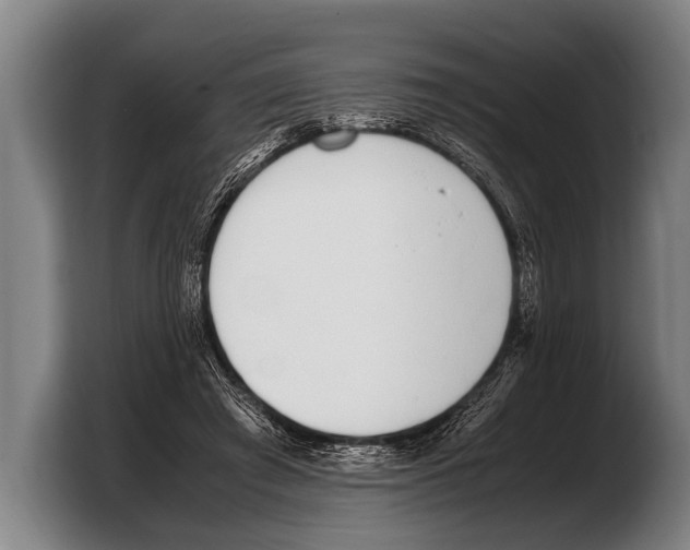 X0000103330401200810061019