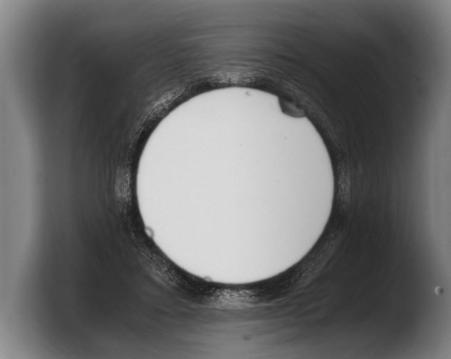 X0000103330403200810061019