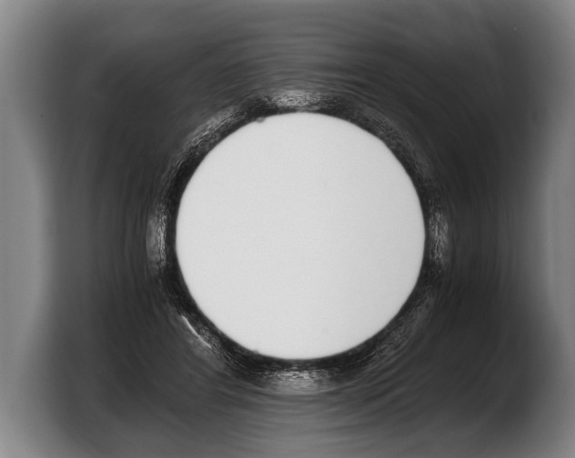 X0000103330404200810061019