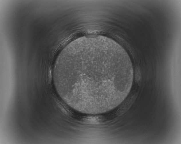 X0000103330405200810061018