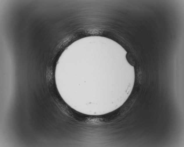 X0000103330407200810061018