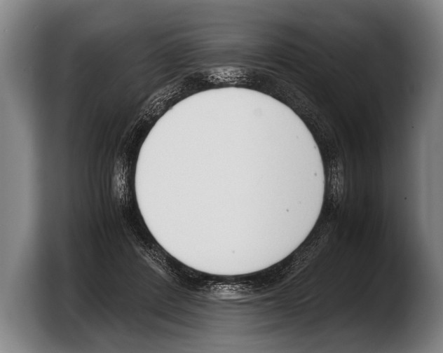 X0000103330408200810061018