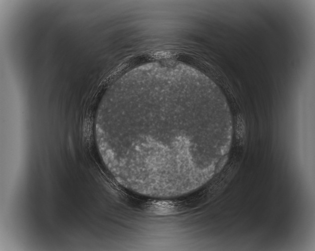 X0000103330409200810061018