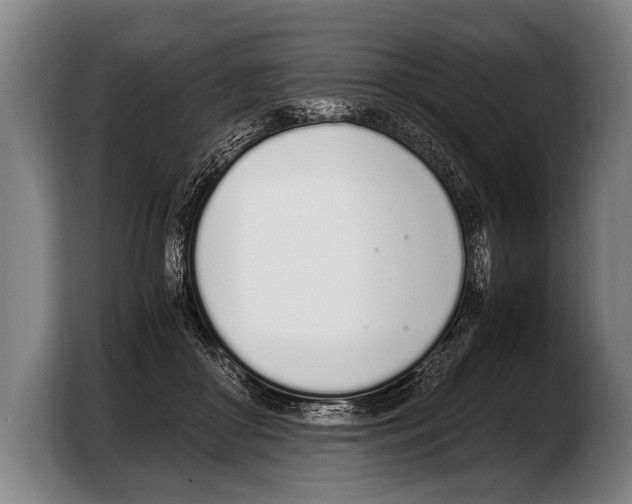 X0000103330410200810061018