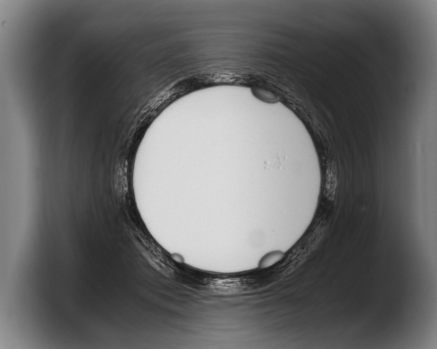 X0000103330413200810061018