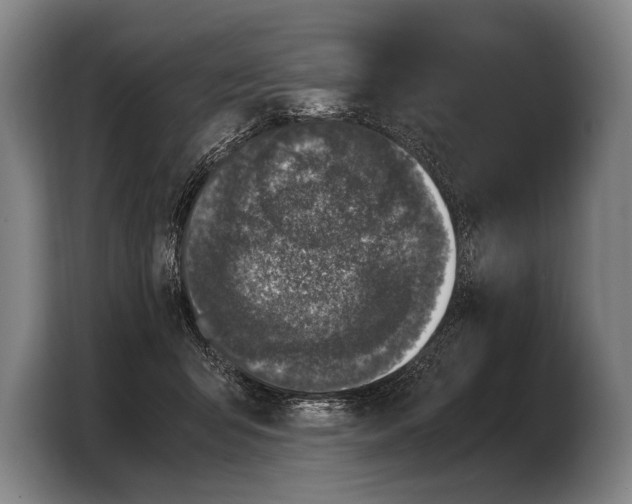 X0000103330415200810061018