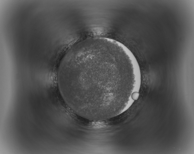 X0000103330419200810061018