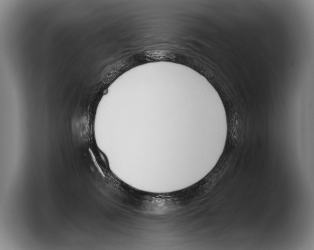 X0000103330420200810061018