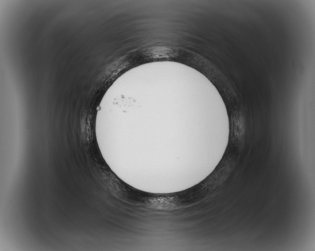 X0000103330422200810061018