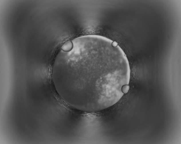 X0000103330423200810061018