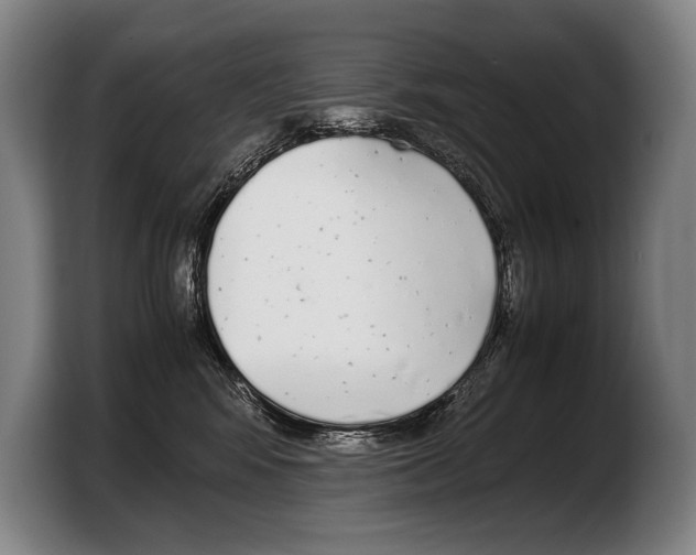 X0000103330424200810061018