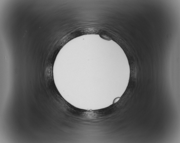 X0000103330425200810061018