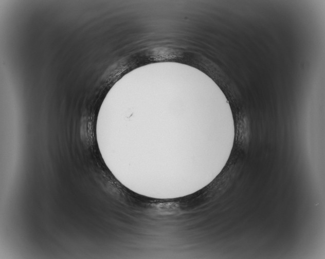 X0000103330426200810061018