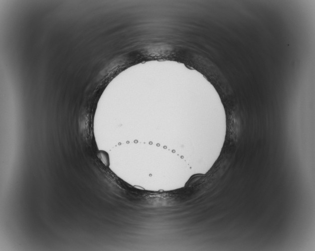 X0000103330428200810061018