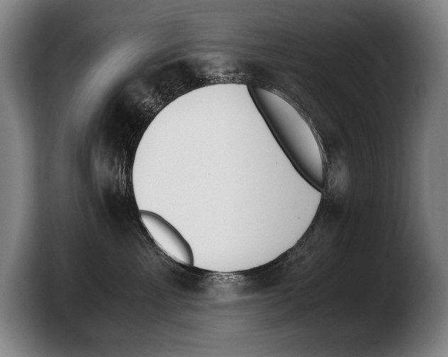 X0000103330429200810061018