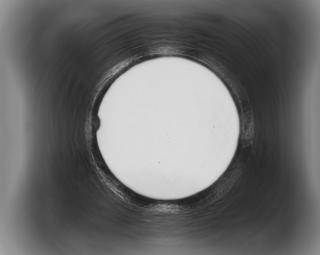 X0000103330437200810061018