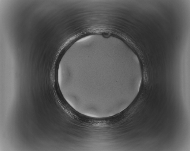 X0000103330438200810061018