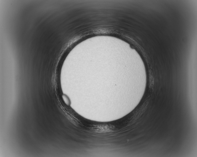 X0000103330439200810061018