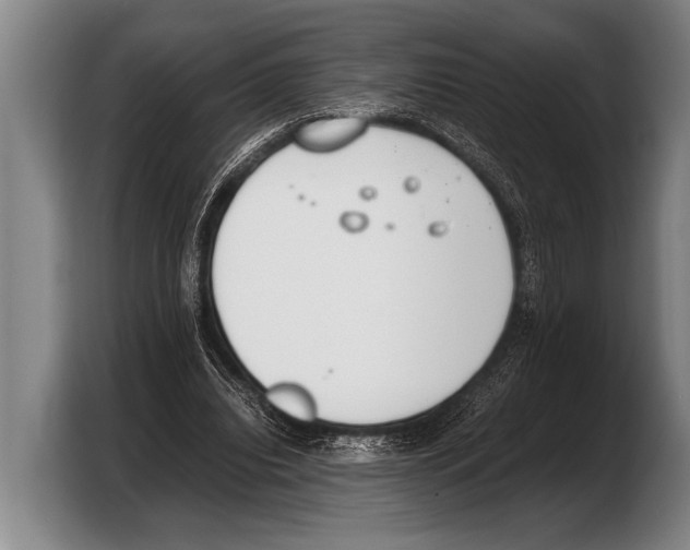 X0000103330440200810061018