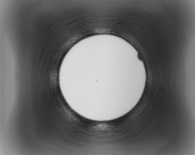 X0000103330441200810061018