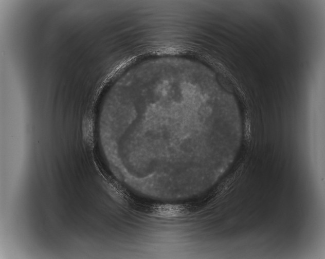 X0000103330444200810061018