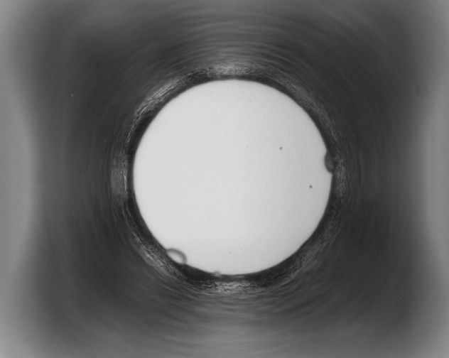 X0000103330446200810061018