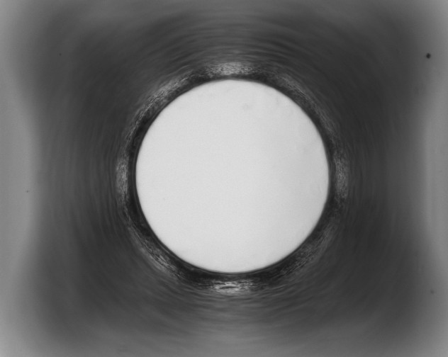 X0000103330447200810061018