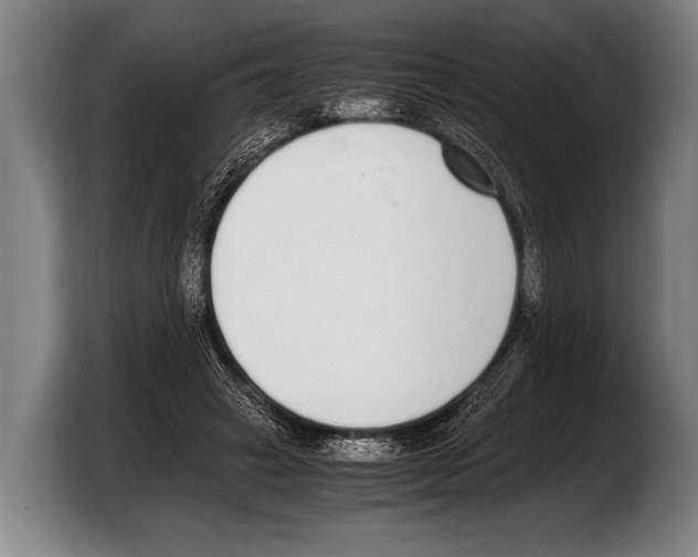 X0000103330449200810061018