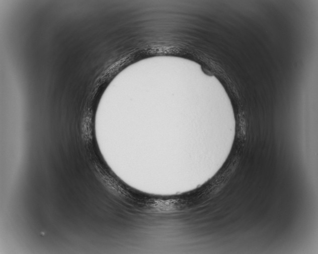 X0000103330450200810061018