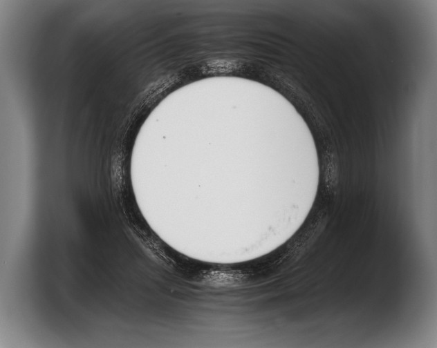 X0000103330455200810061018