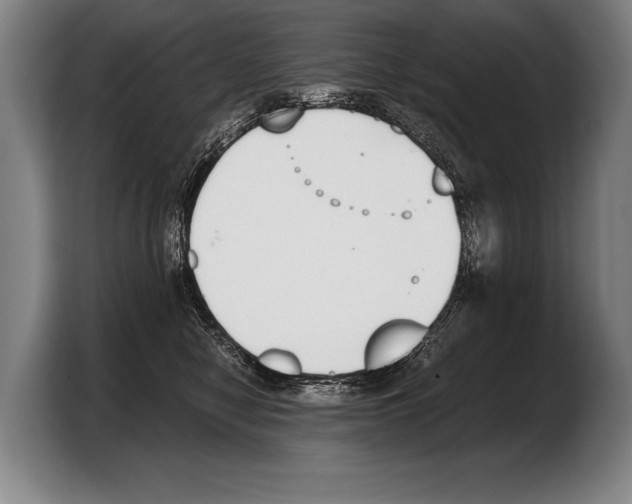 X0000103330470200810061018