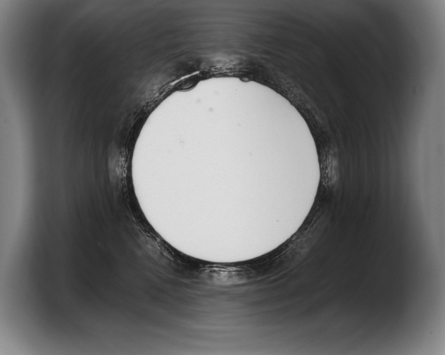 X0000103330472200810061018