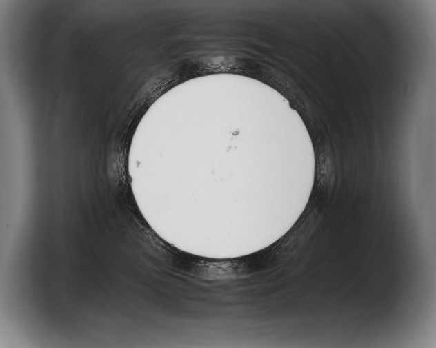 X0000103330473200810061018