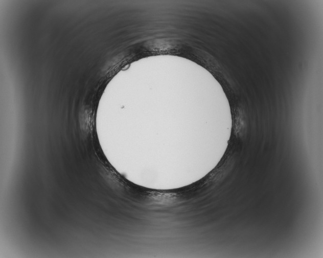 X0000103330476200810061018