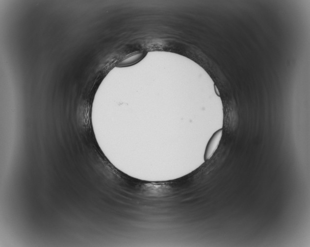 X0000103330477200810061018