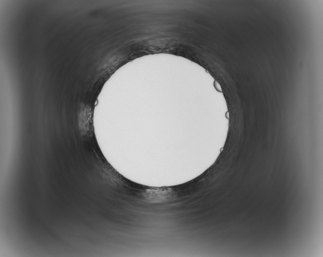 X0000103330480200810061018