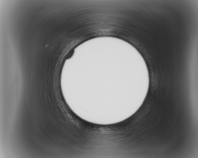 X0000103330481200810061018