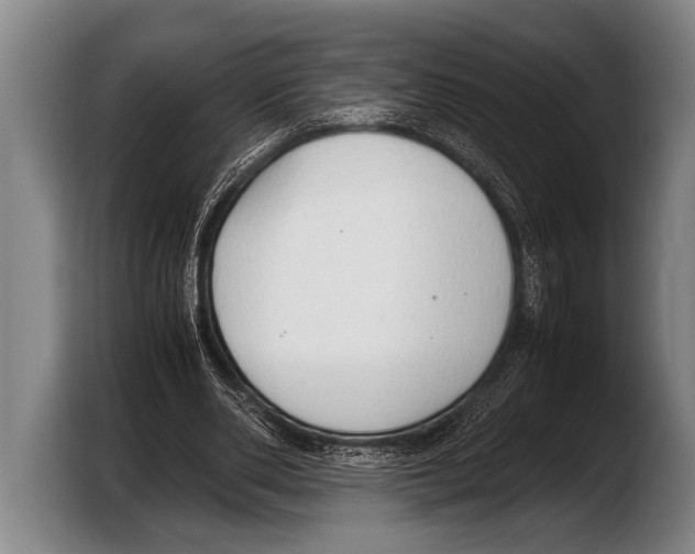 X0000103330486200810061017