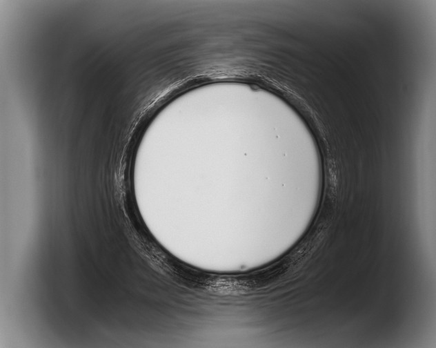 X0000103330487200810061017