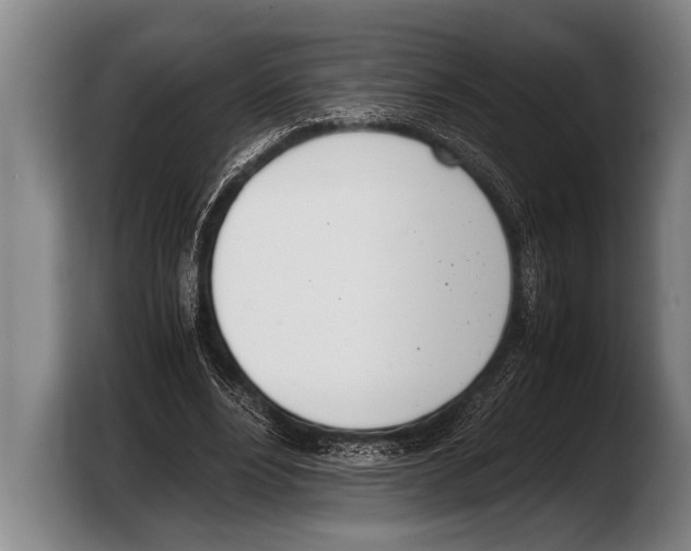 X0000103330488200810061017