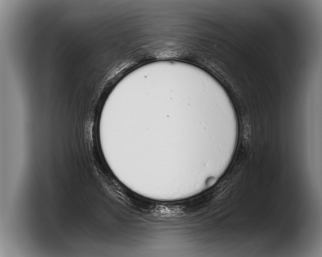 X0000103330491200810061017