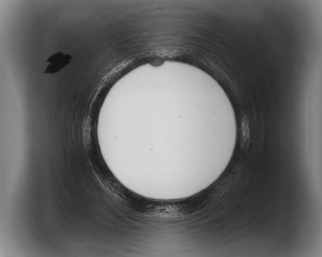 X0000103330492200810061017